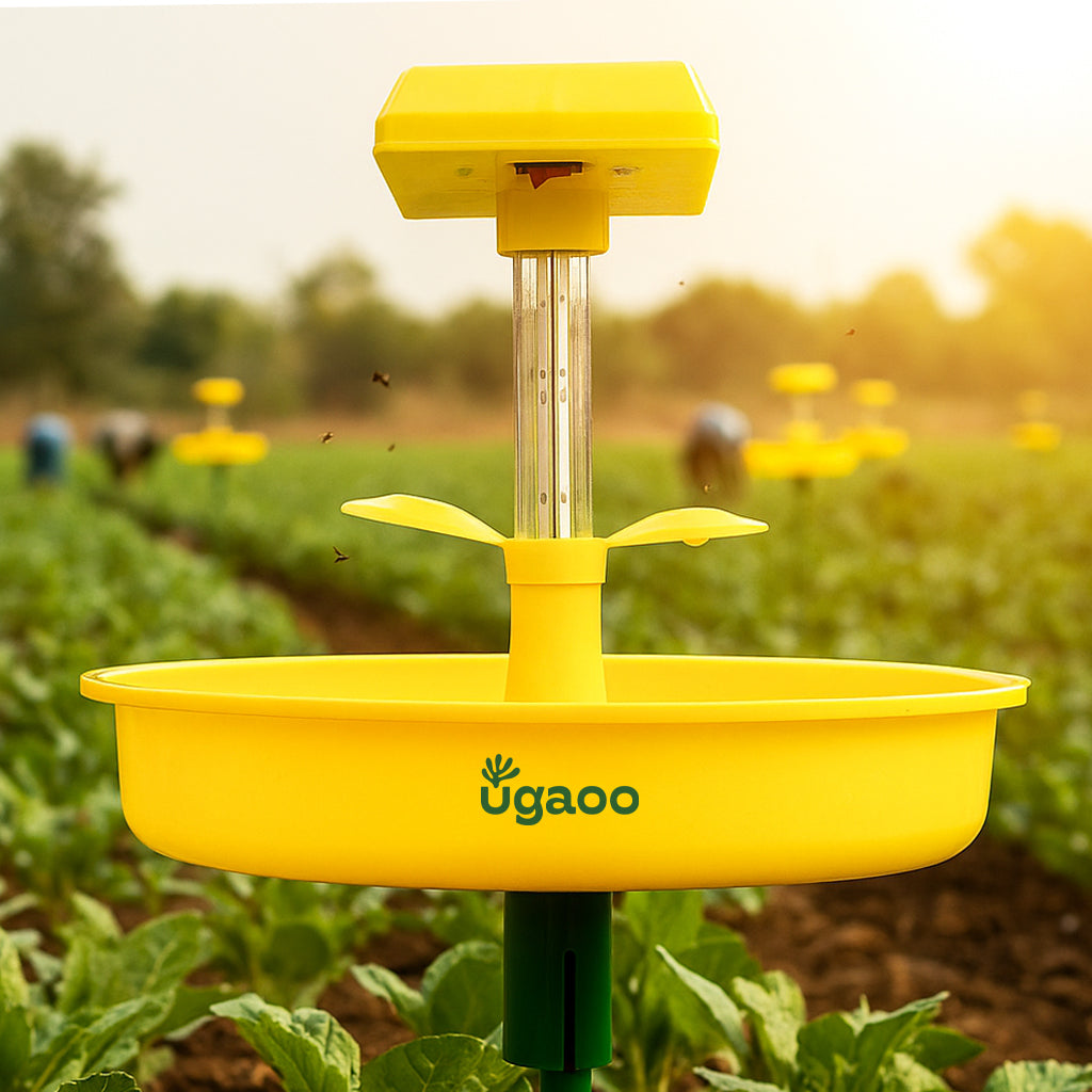 Mini Solar Light Insect Trap, Fly Killer Machine