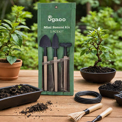 Mini Garden Bonsai Set