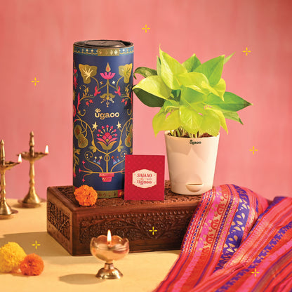 Money Plant Golden - Diwali Edition