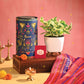 Money Plant N&