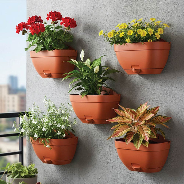 Mounta Wall Planter:- Set of 5