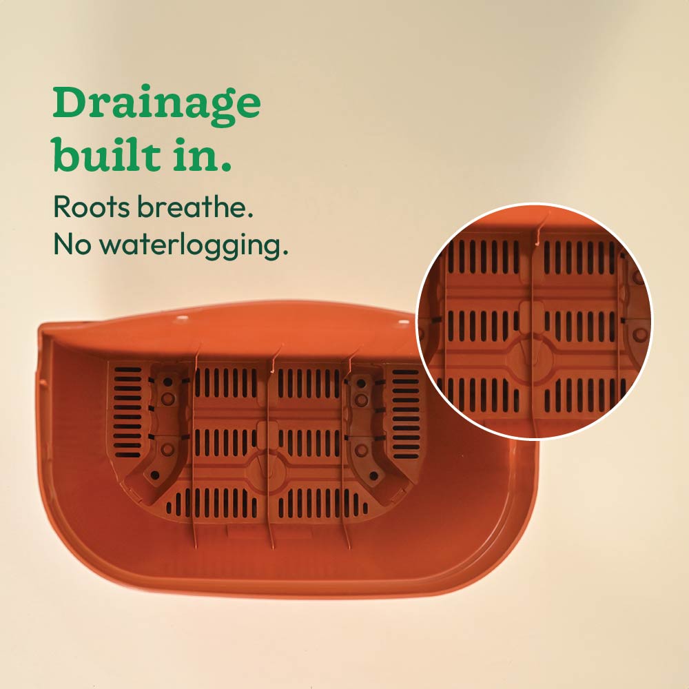Mounta Wall Planter:- Set of 5