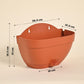 Mounta Wall Planter:- Set of 5