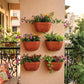 Mounta Wall Planter:- Set of 5