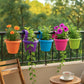 Bello hook planter (set of 5)