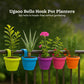 Bello hook planter (set of 5)
