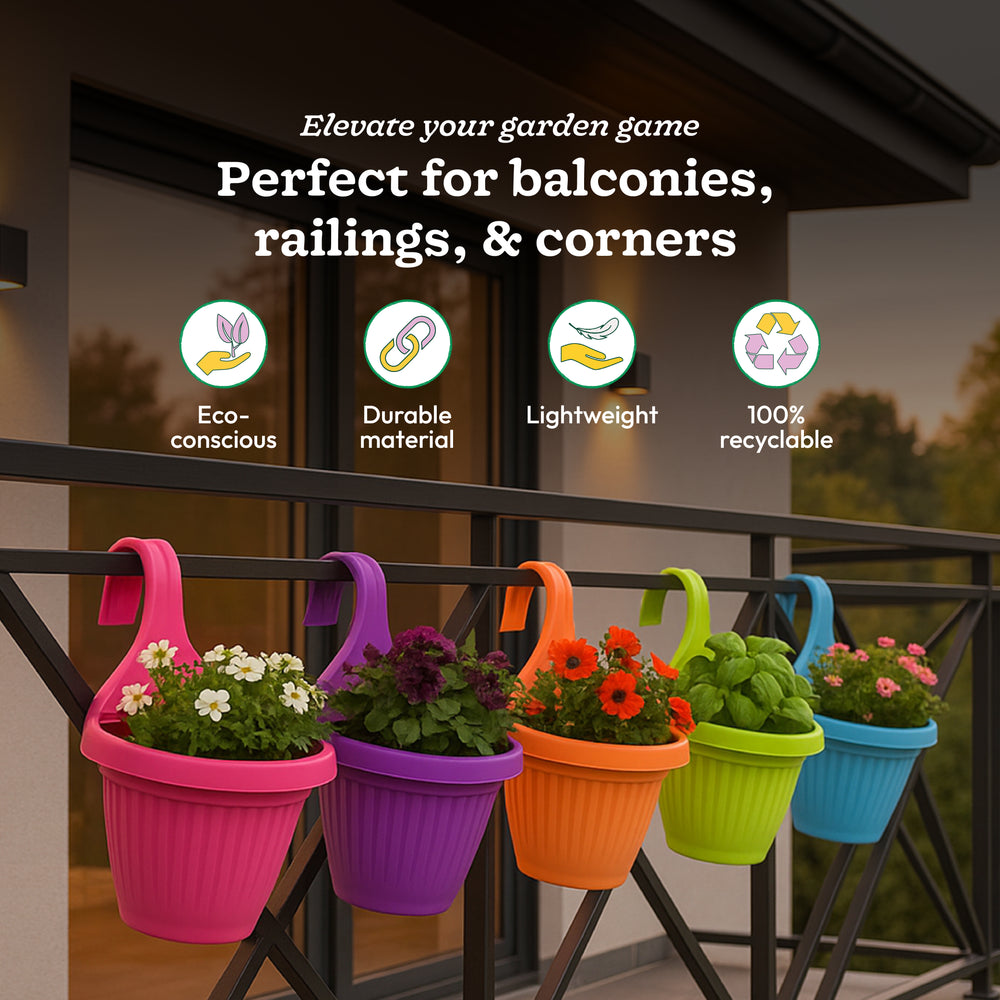 Bello hook planter (set of 5)