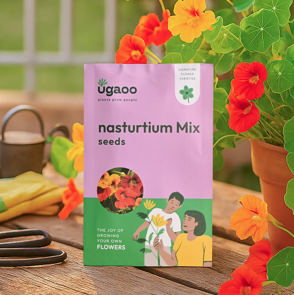 Nasturtium Mix Seeds