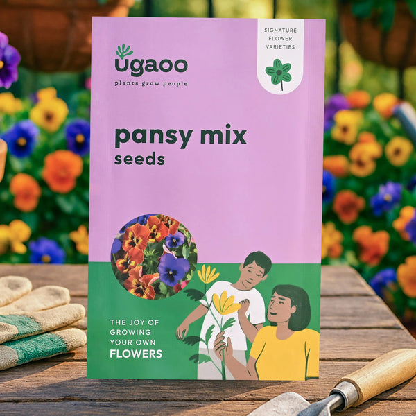 Pansy Mix Seeds