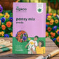 Pansy Mix Seeds