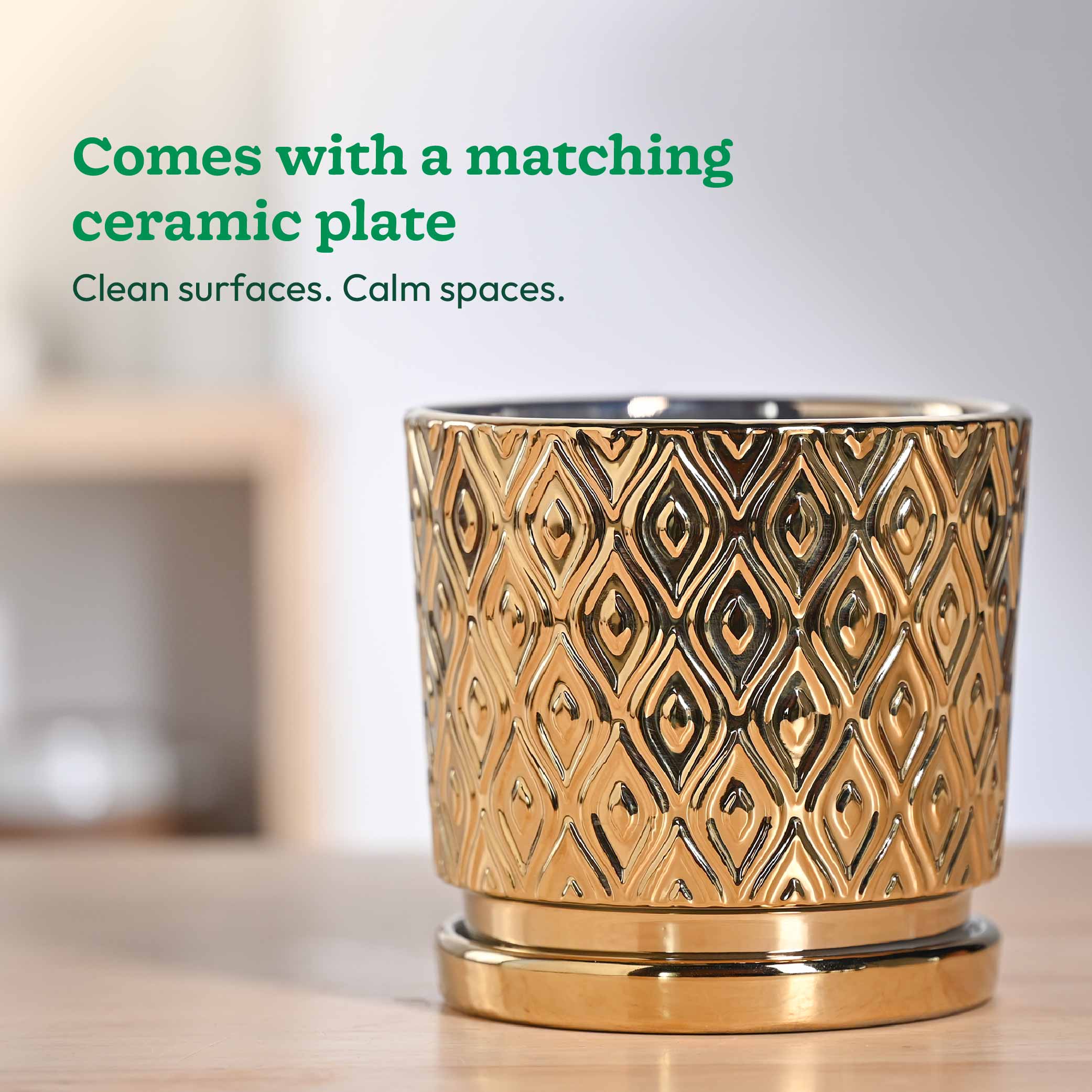 Ceramic Plant Pot with Drainage – Silver-Gold Peacock | Ugaoo