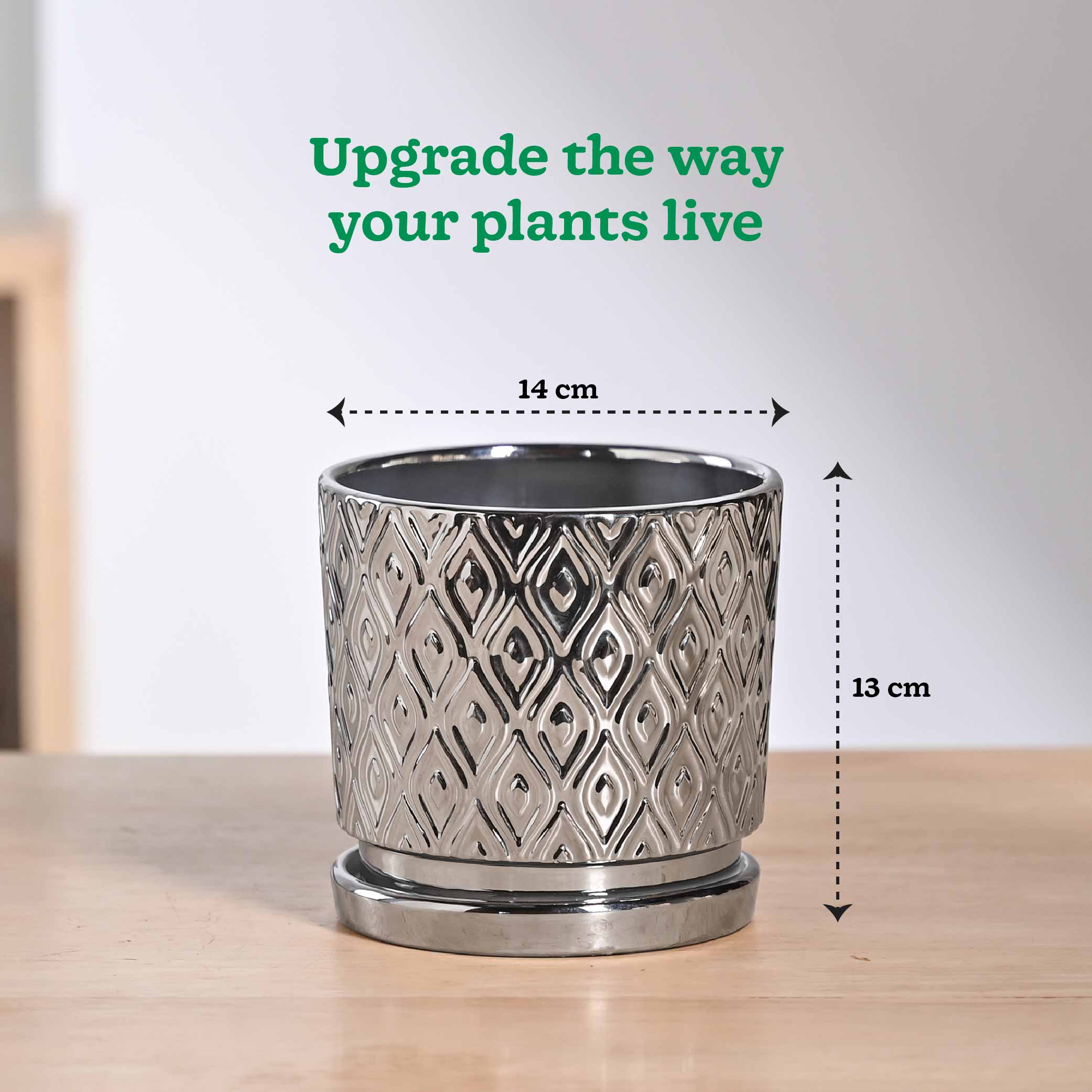Ceramic Plant Pot with Drainage – Silver-Gold Peacock | Ugaoo