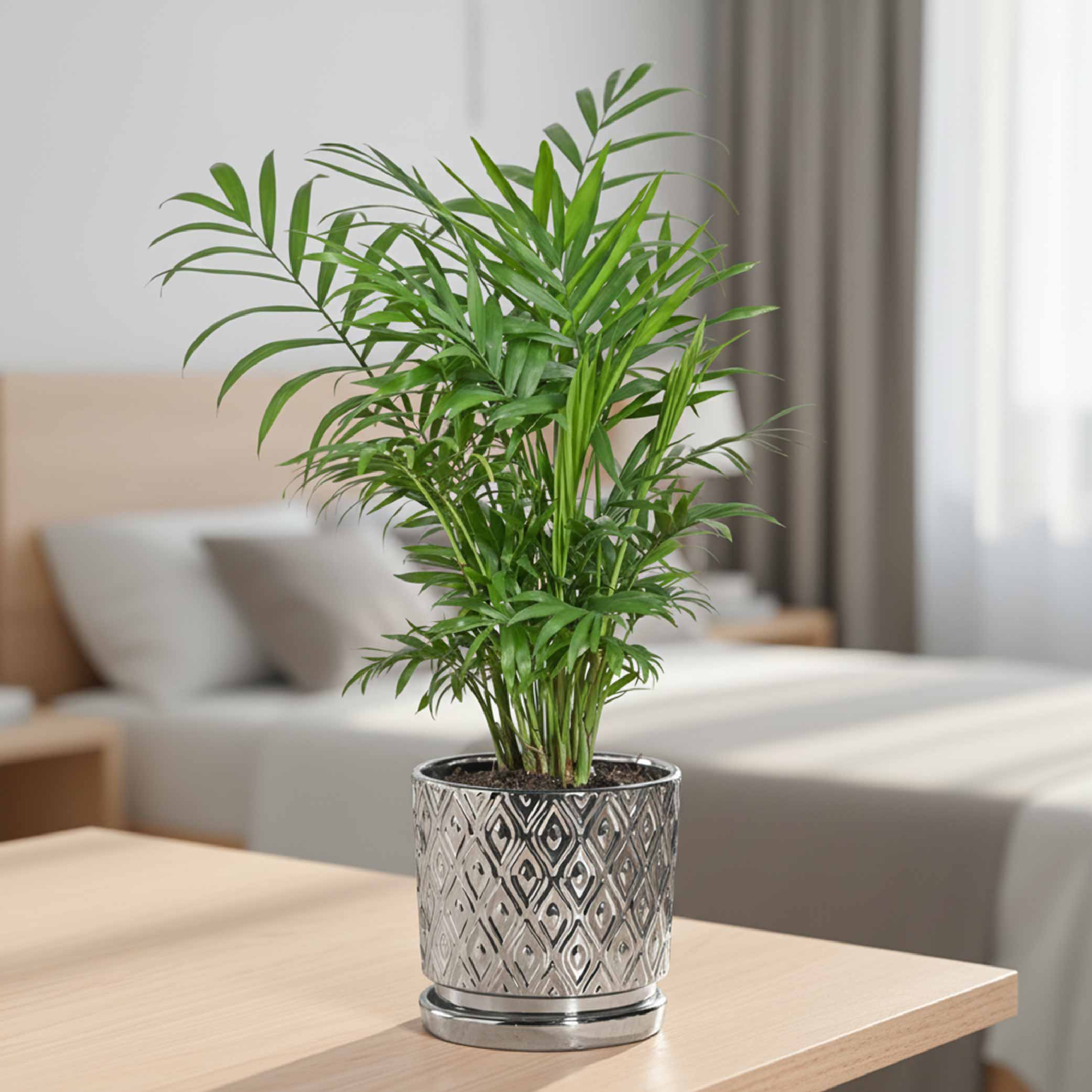 Ceramic Plant Pot with Drainage – Silver-Gold Peacock | Ugaoo