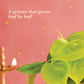 Philodendron Oxycardium Golden Plant - Diwali Edition