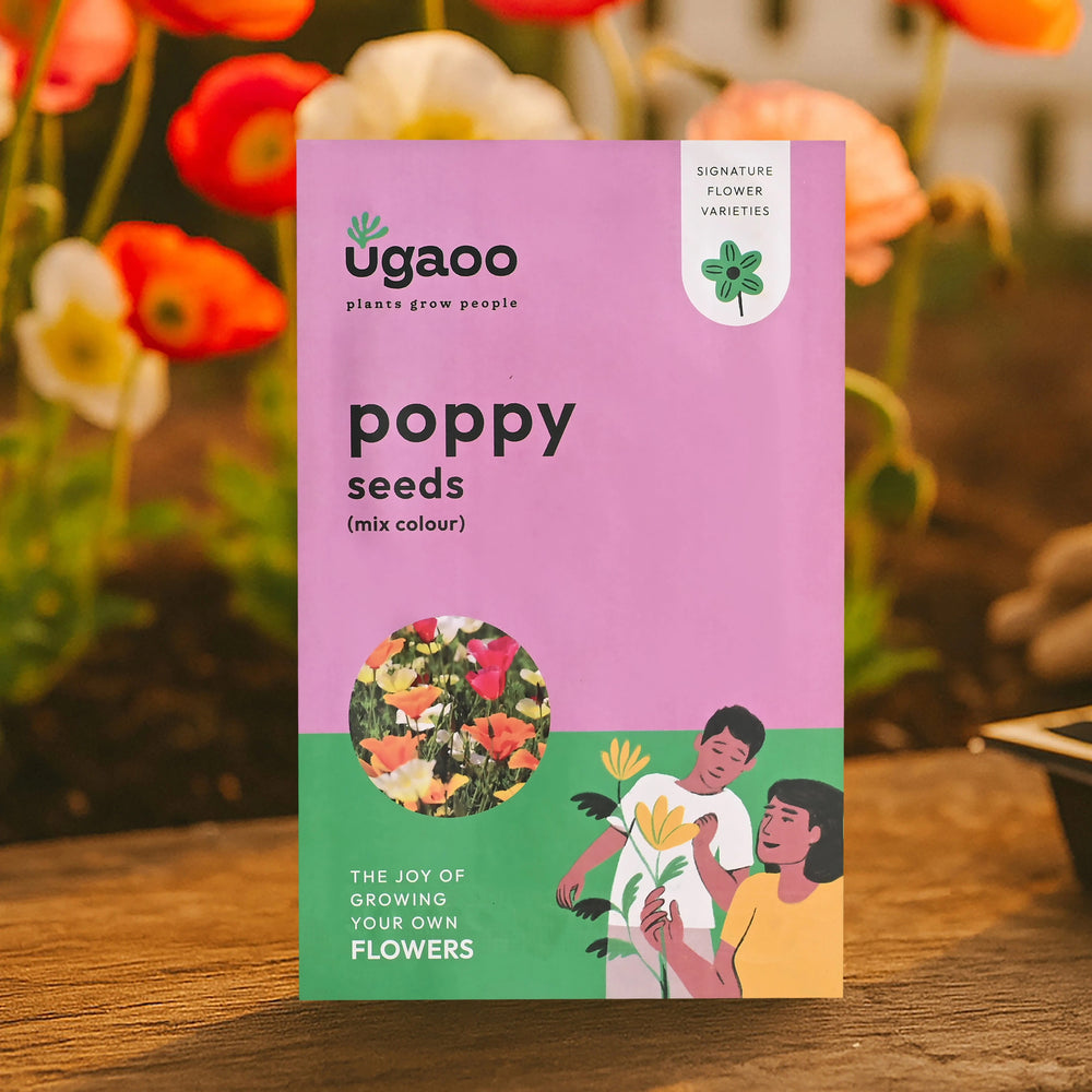 Poppy Mix Seeds