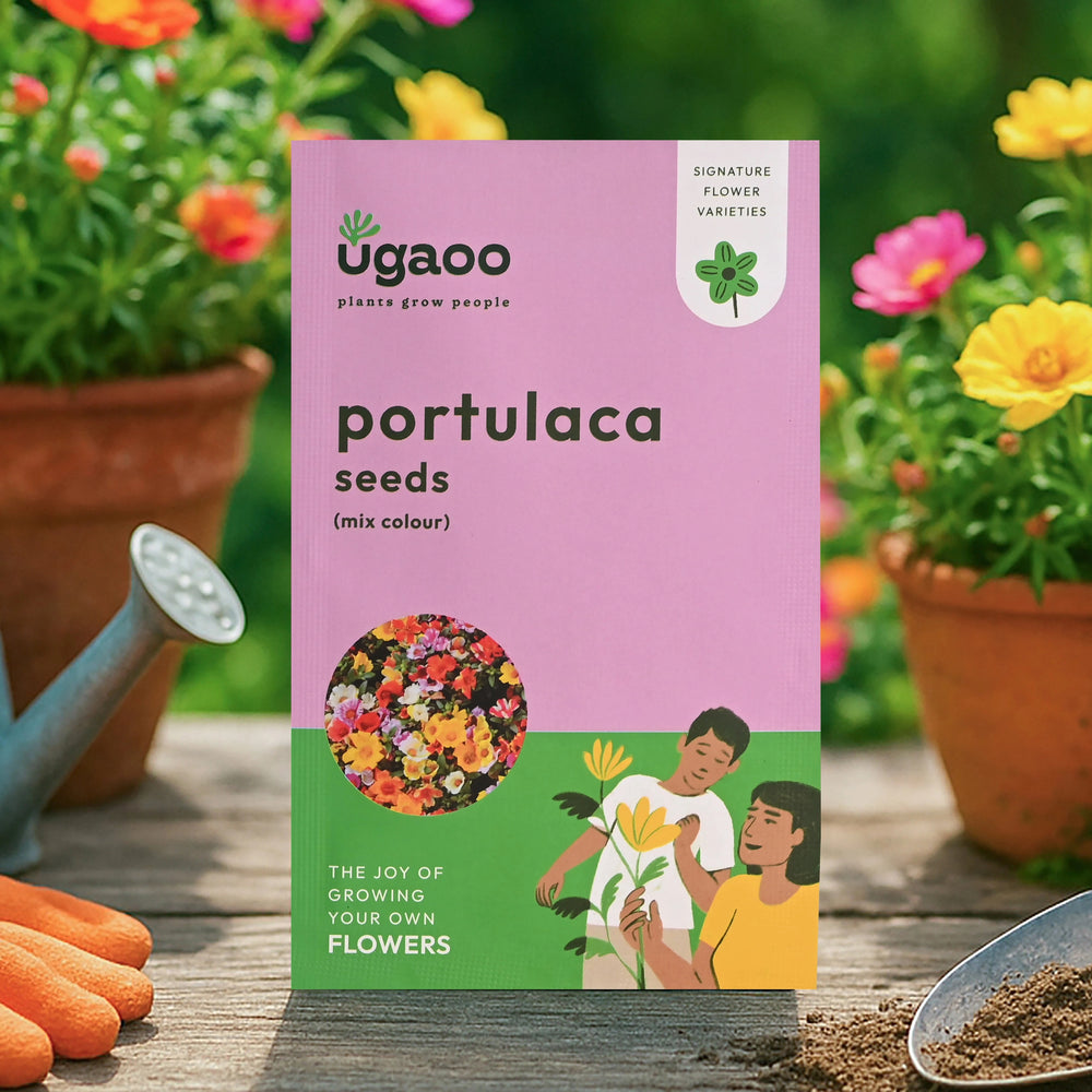 portulaca flower seeds online Portulaca Mix Seeds – Ugaoo