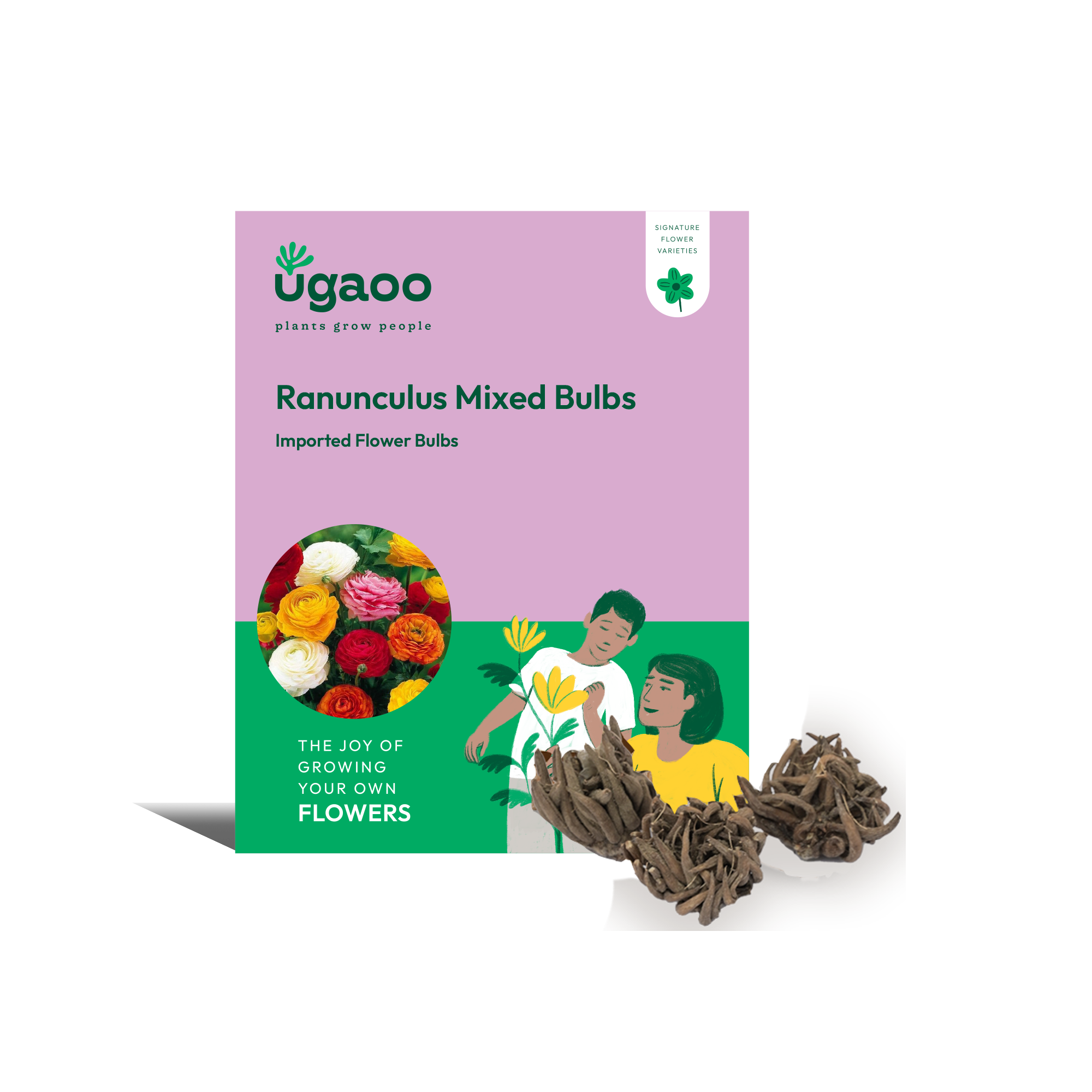 Ranunculus Mixed Bulbs