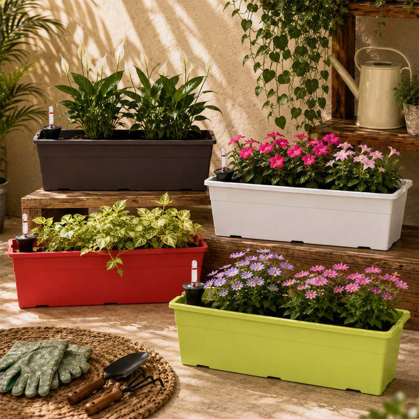Reca 40 Multicolour Self Watering Planter - Set of 4