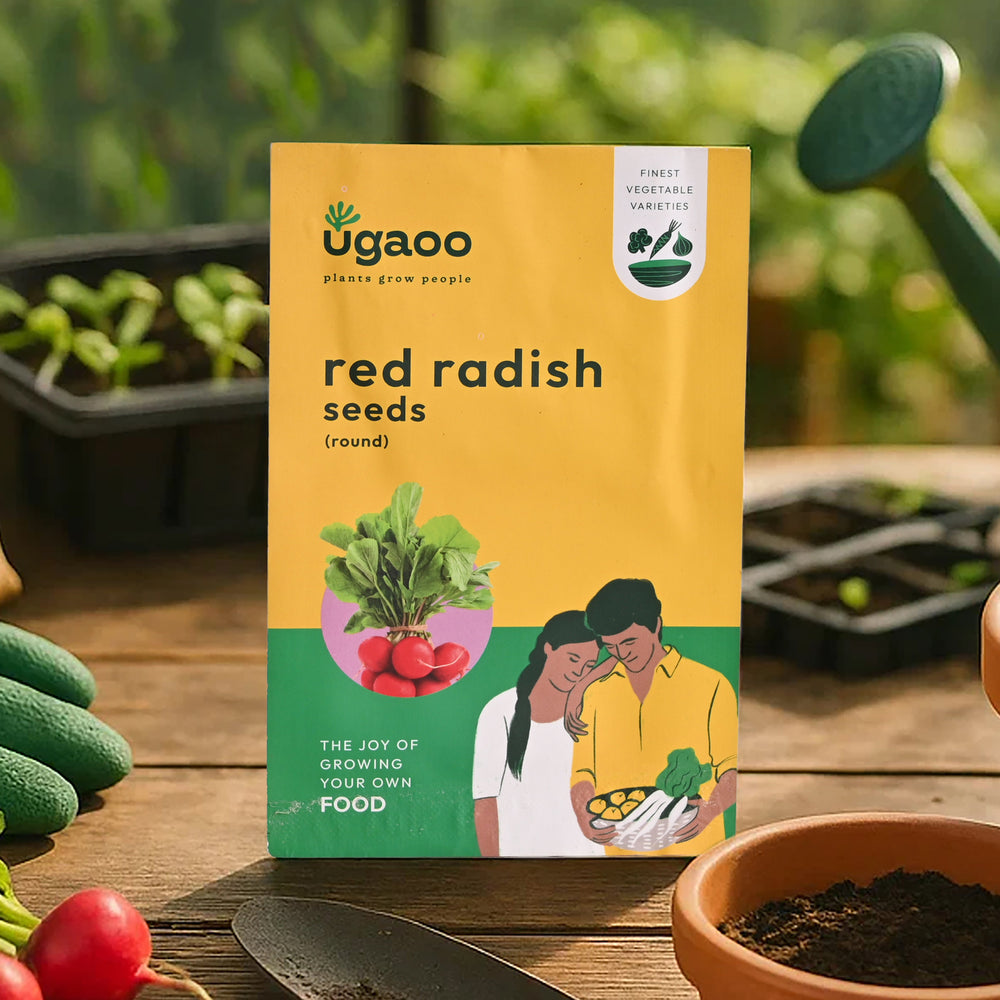 Red Round Radish Seeds