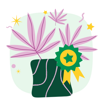 Collection-list-image