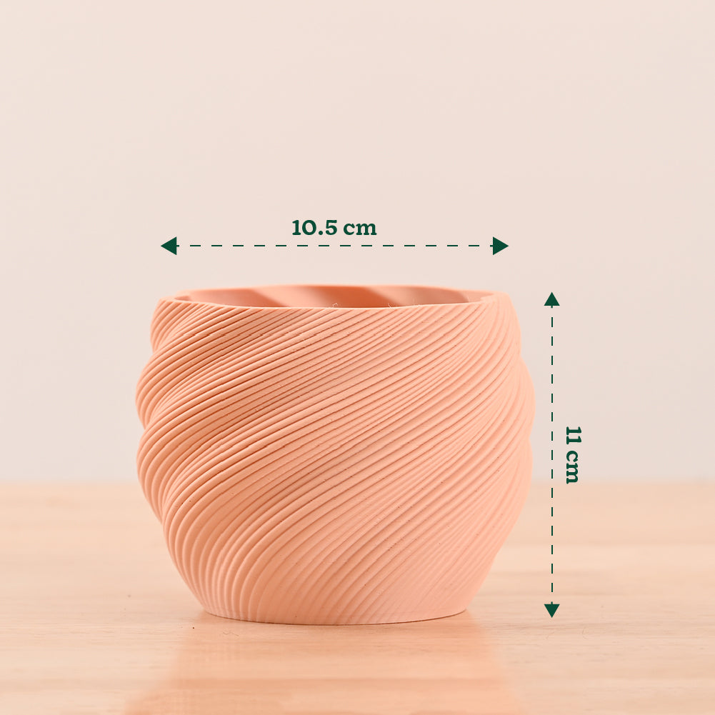 3d plant pots_NUHP0337