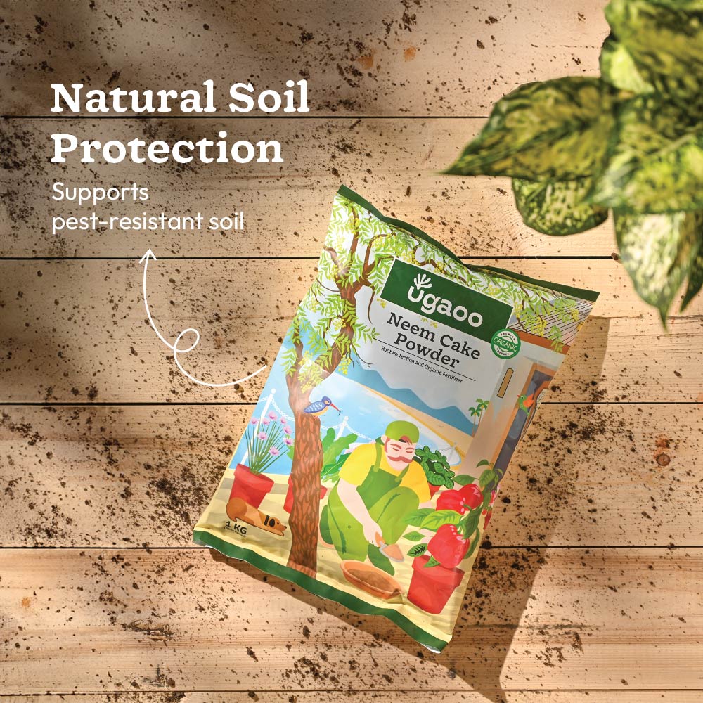 Essential Soil Boost Kit