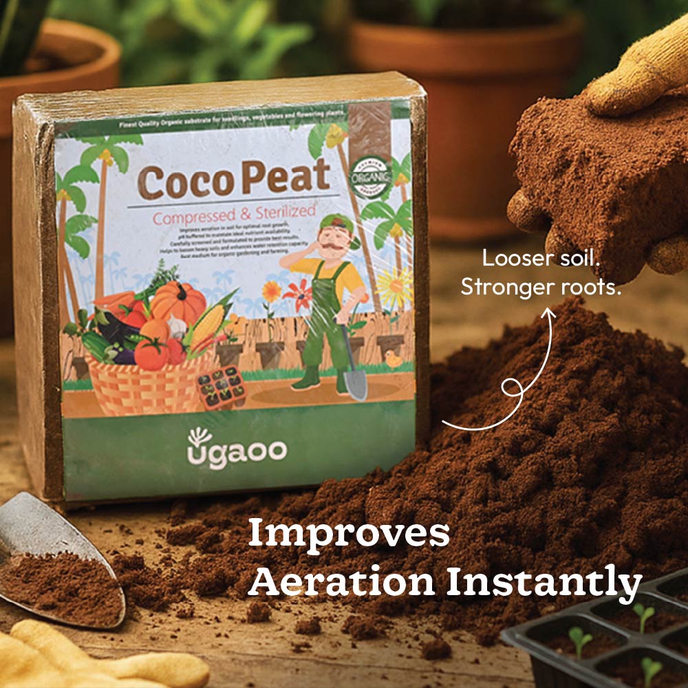 Essential Soil Boost Kit