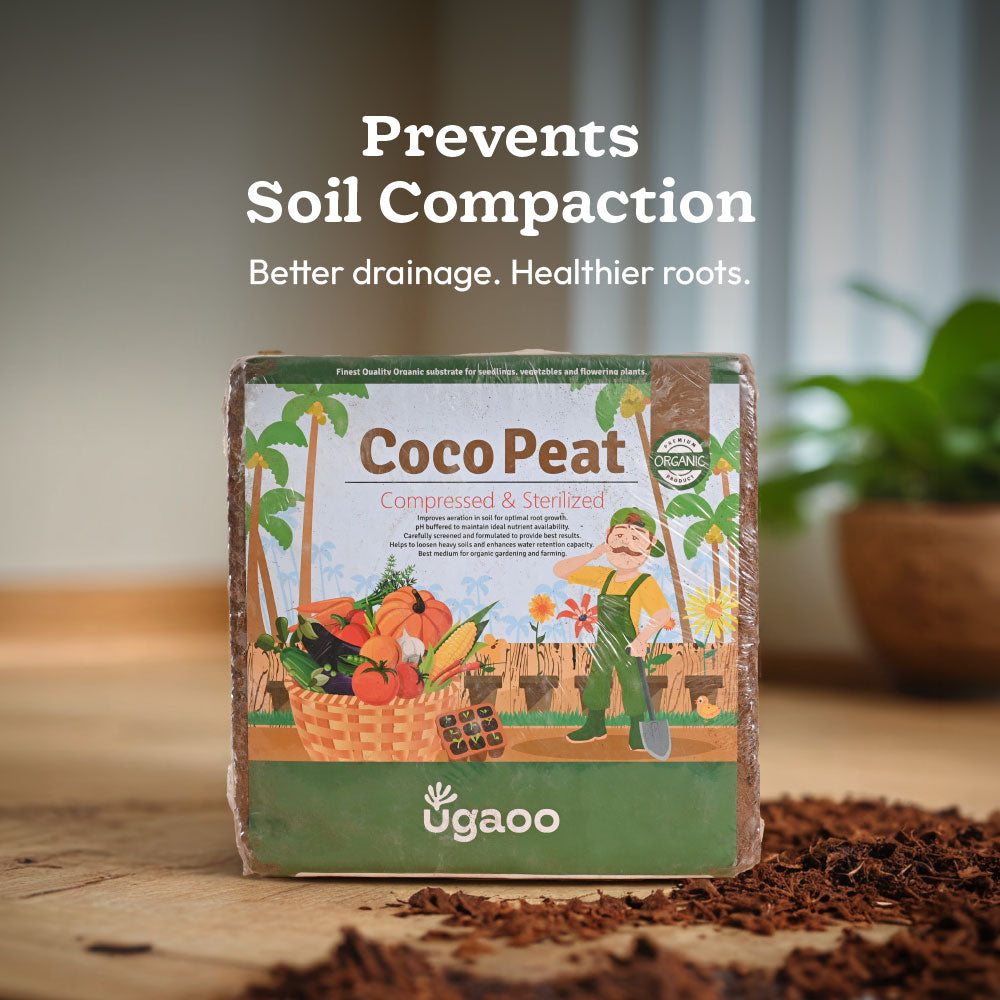 Balanced Soil Nutrition Kit