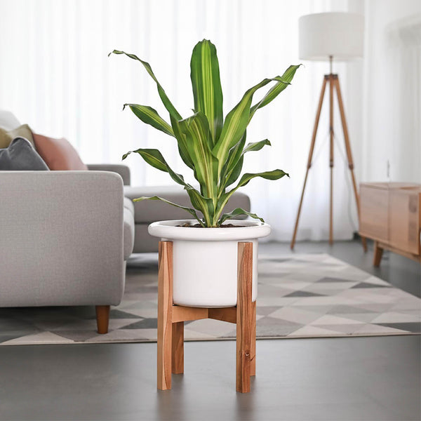 Songs of Summer Ceramic Planter