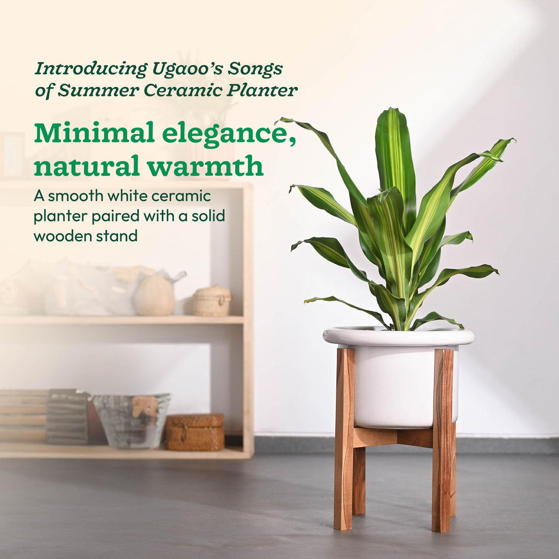 Songs of Summer Ceramic Planter