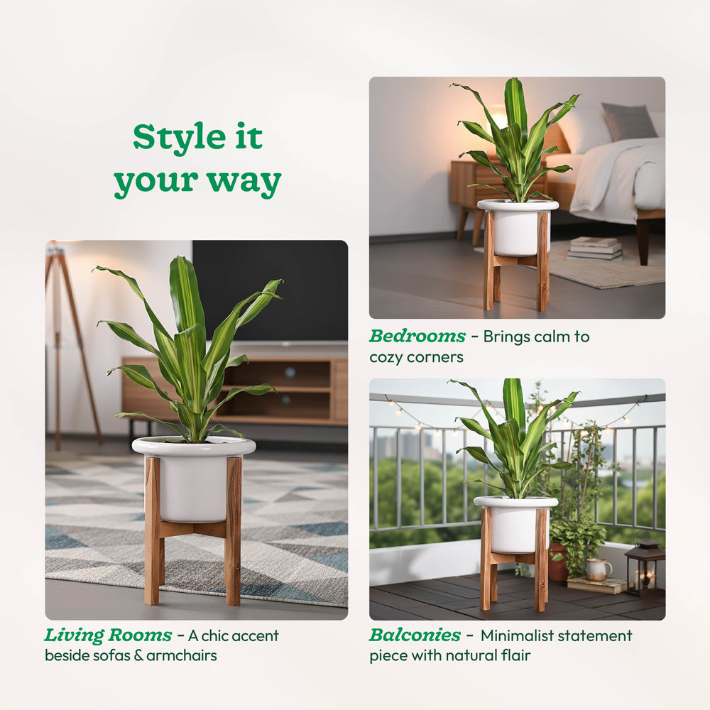 Songs of Summer Ceramic Planter