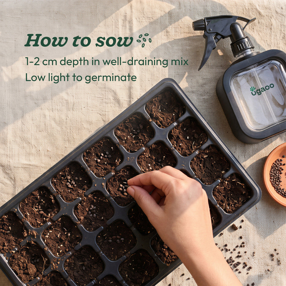 NUVSO301