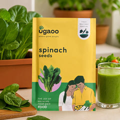 Spinach Seeds (Palak)