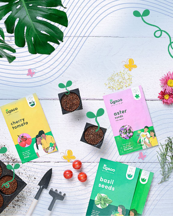 Ugaoo: India's No.1 Online Plant Store| Buy Seeds & gardening products