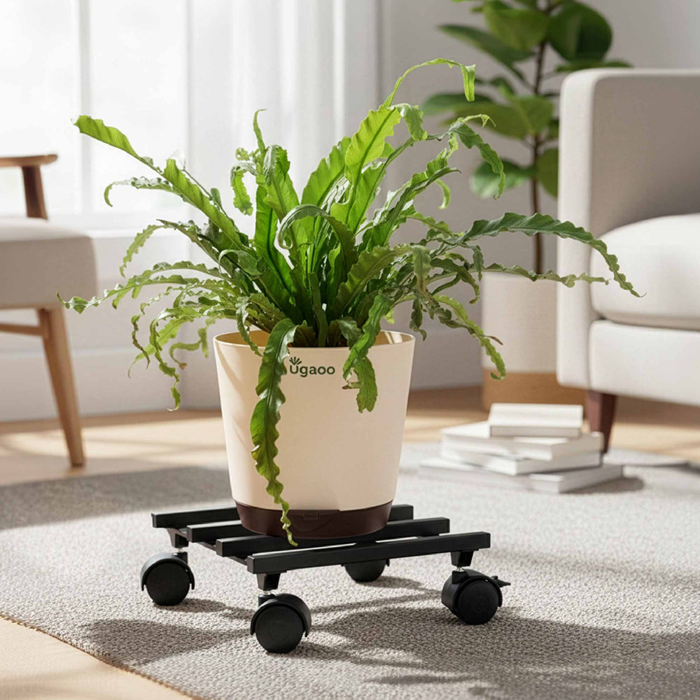 Rolling Plant Stand - Black
