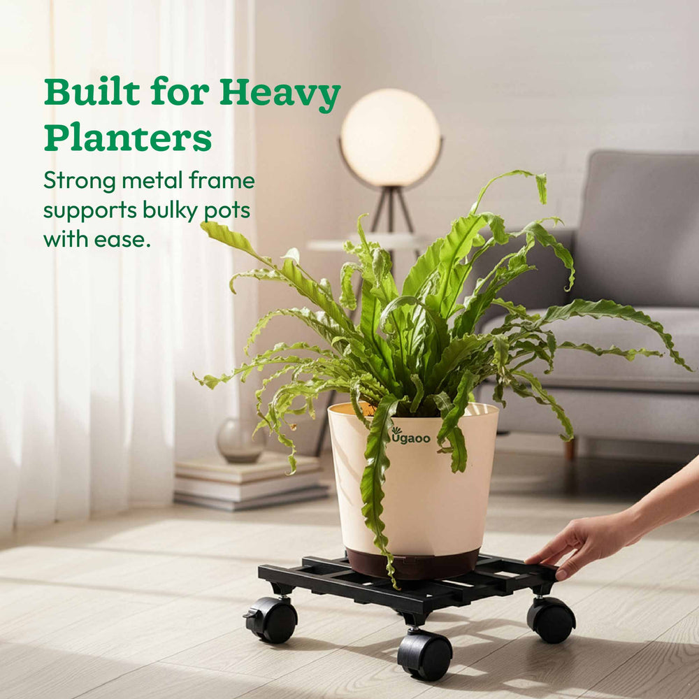 Rolling Plant Stand - Black
