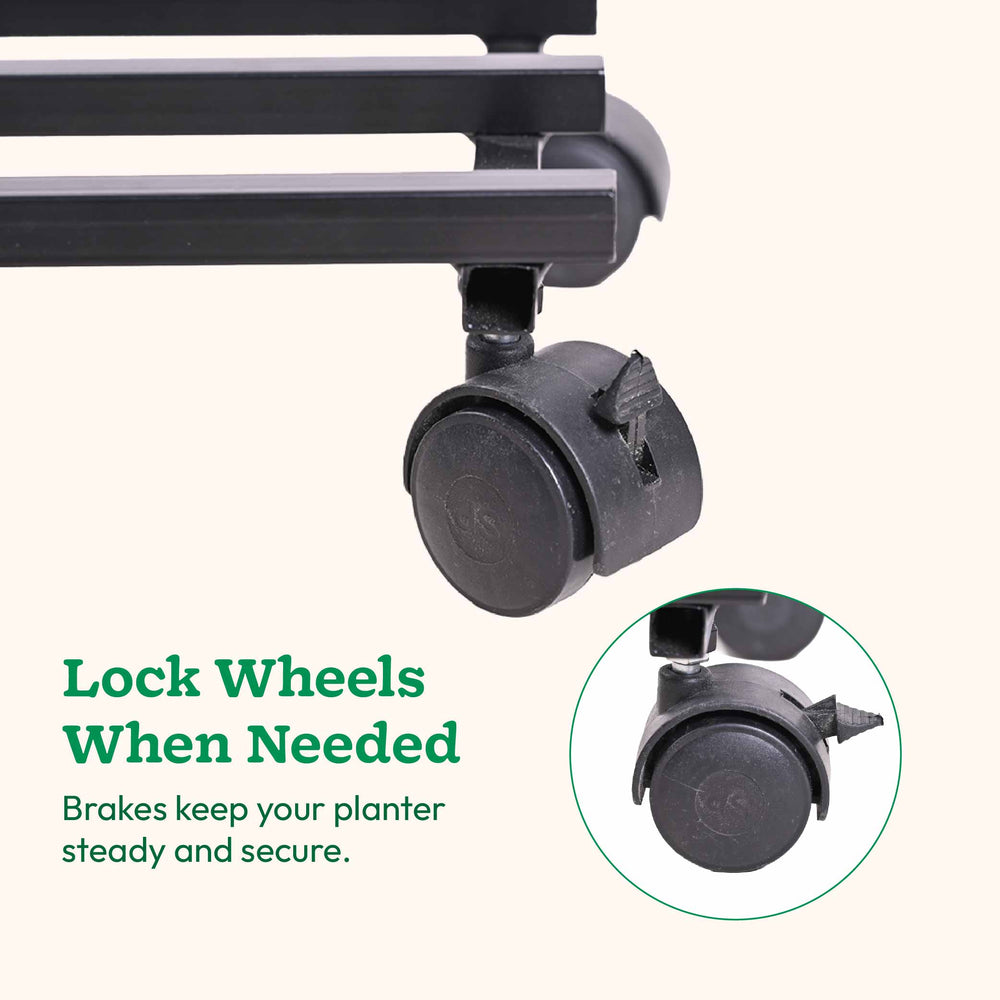 Rolling Plant Stand - Black