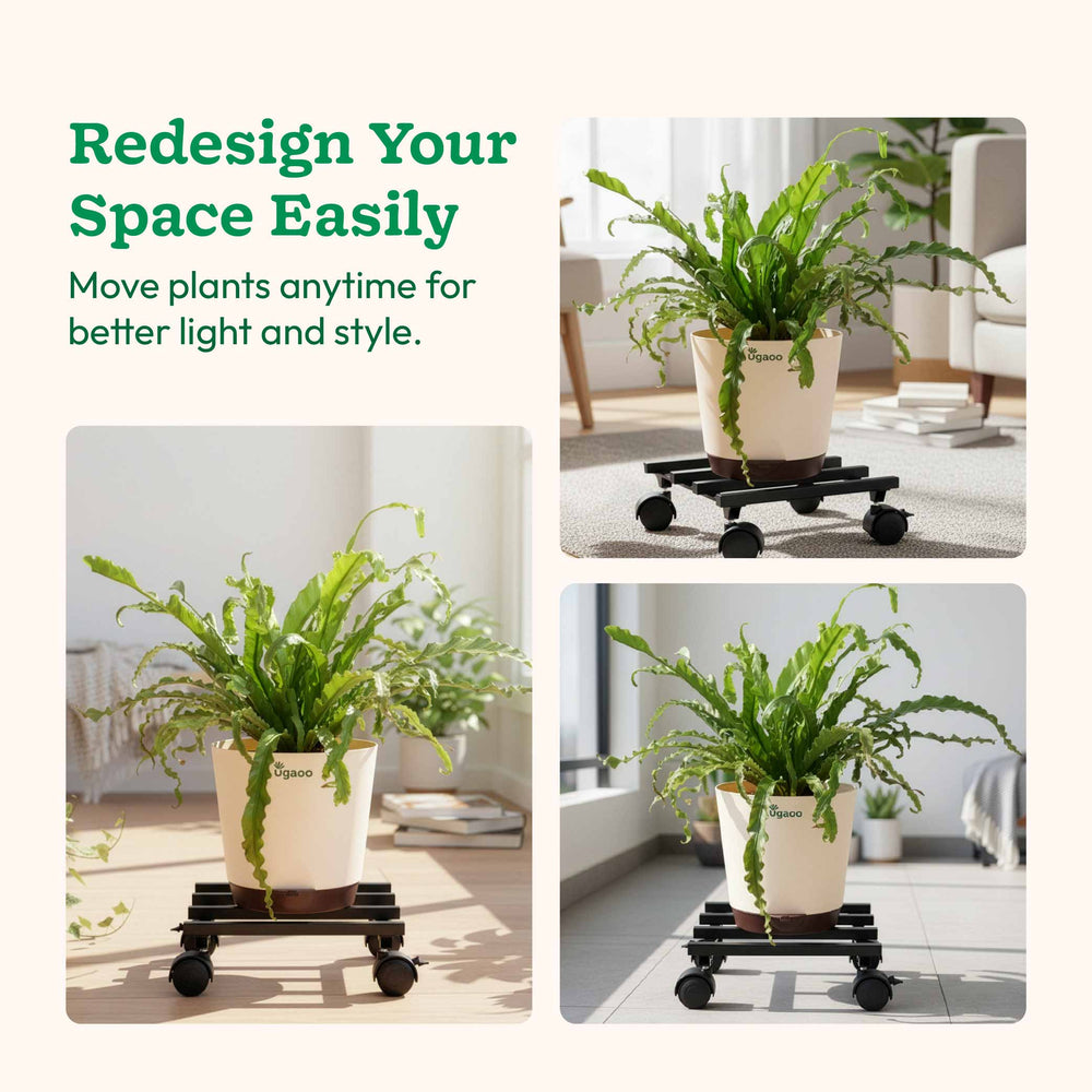 Rolling Plant Stand - Black