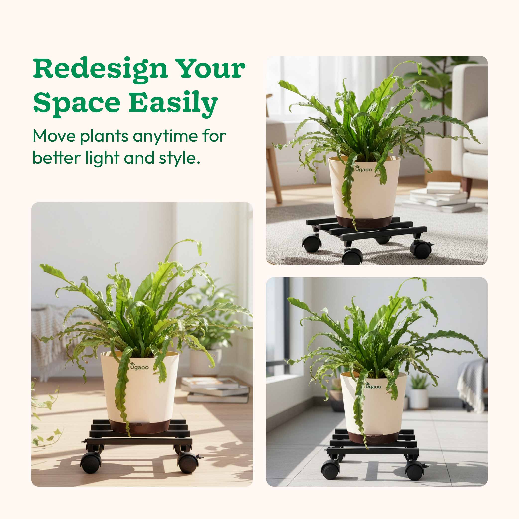 Rolling Plant Stand - Black