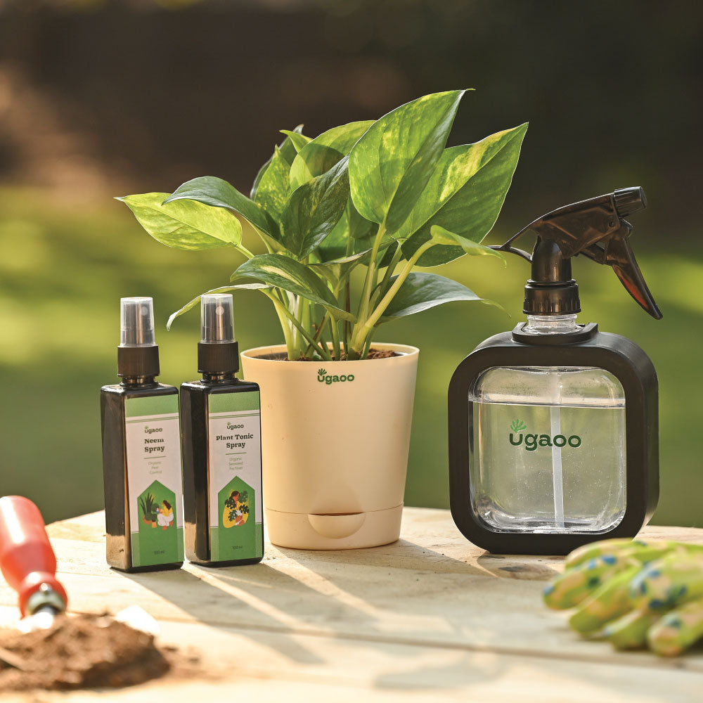 Ugaoo Beginner Plant Care Starter Kit
