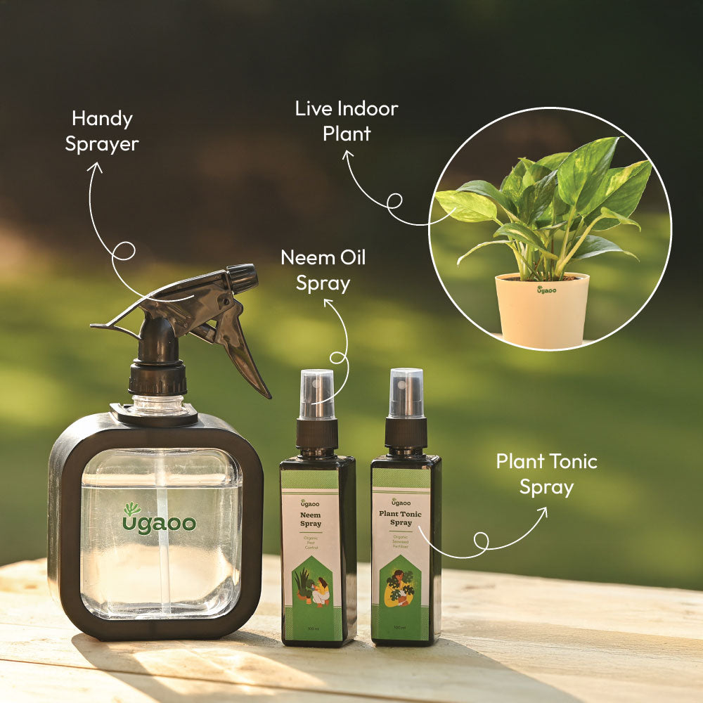 Plant Starter Kit