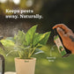 Plant Starter Kit