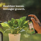 Plant Starter Kit