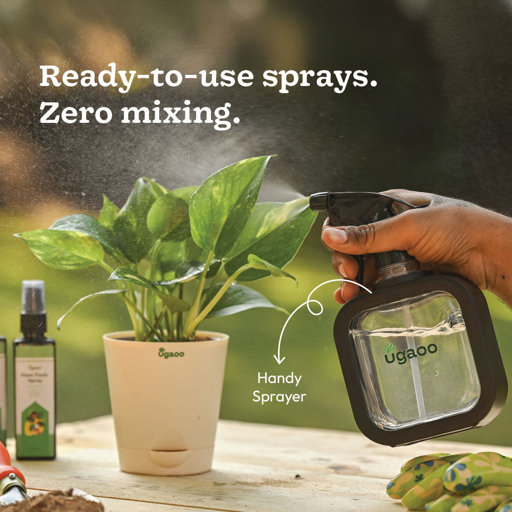 Plant Starter Kit