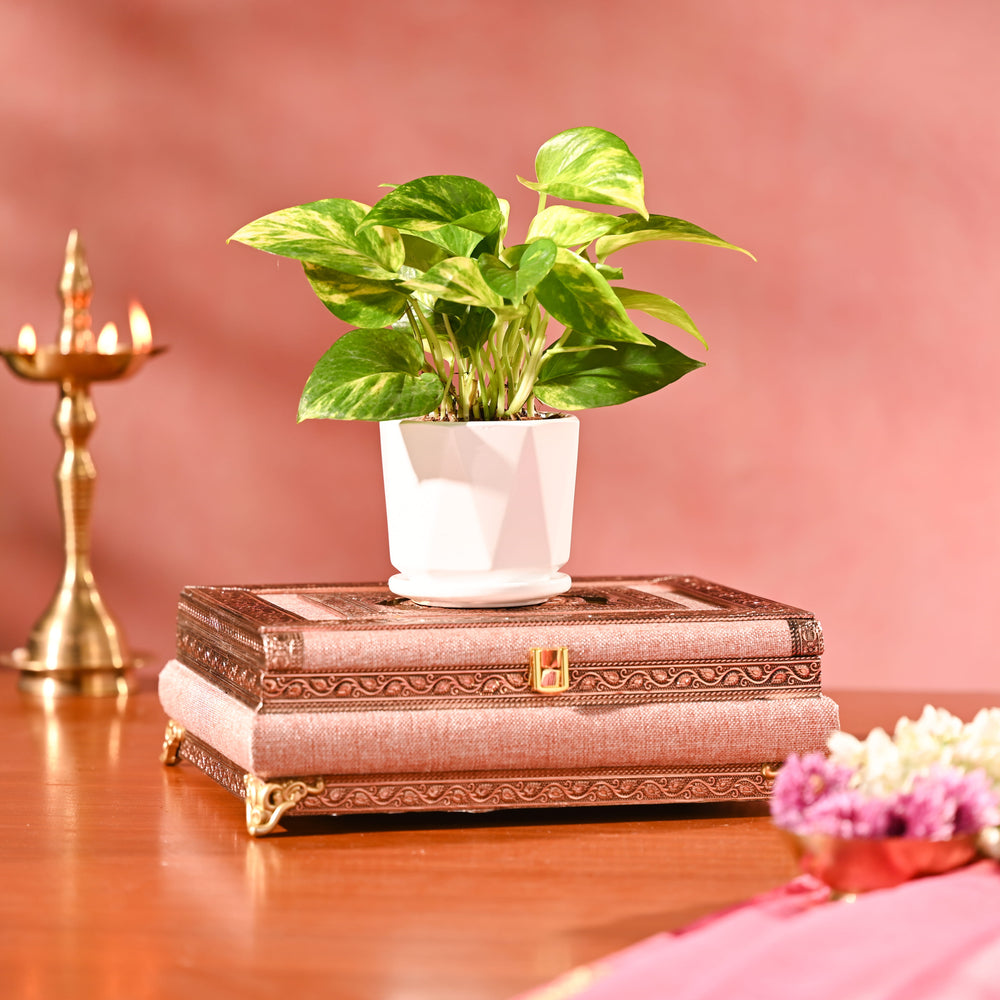 Shubh Aarambh Diwali Hamper