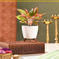 Sunehra Pitara: Swagat