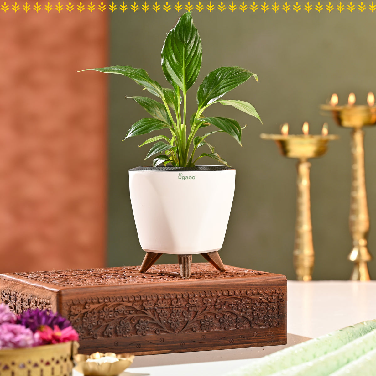 Sunehra Pitara: Anmol