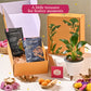 Sunehra Pitara: Anmol