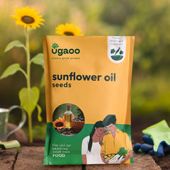 Sunflower Oil Seeds