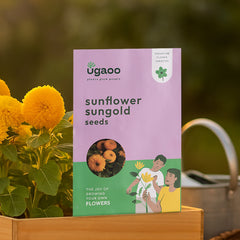 Sunflower Sungold Seeds